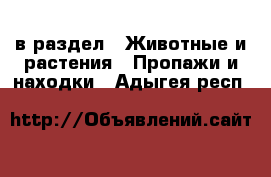  в раздел : Животные и растения » Пропажи и находки . Адыгея респ.